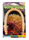 Coral strap - 5 pieces